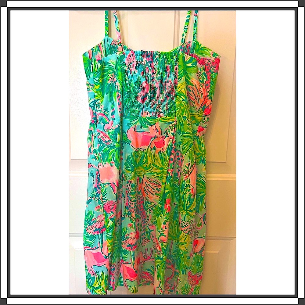 Lilly Pulitzer Dress (Brand New Never Worn) - Picture 2 of 7